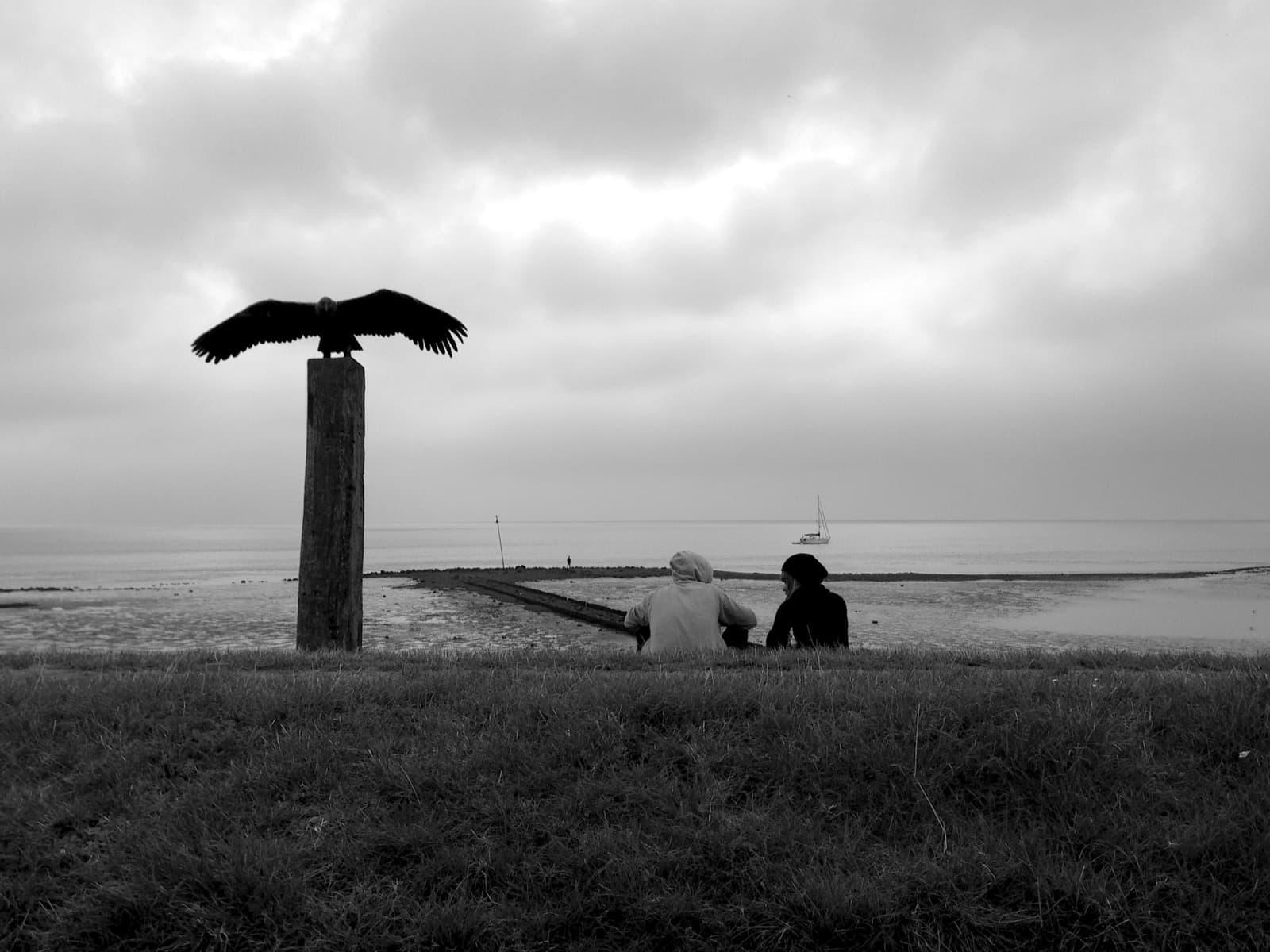 EZ fotografie: series